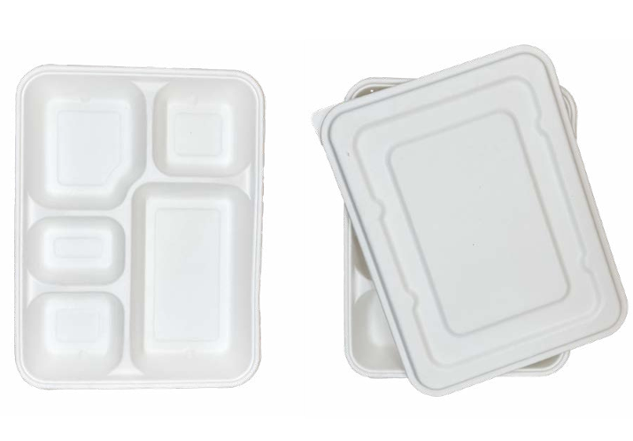 Bandeja con divisiones B022 - B023 paquete de 50 unidades