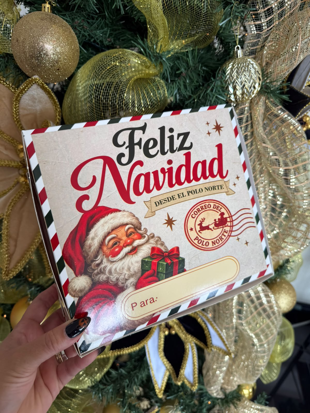 Cajita Santa Express